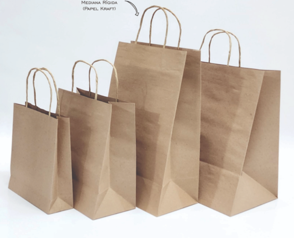 BOLSA PAPEL MANIJA 22X30
